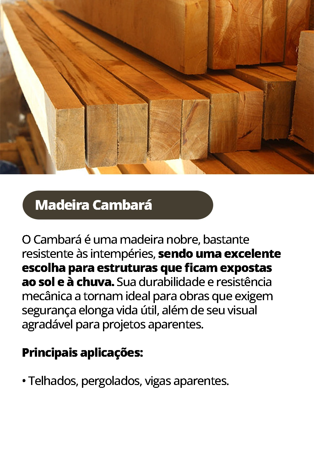 Cambara.webp