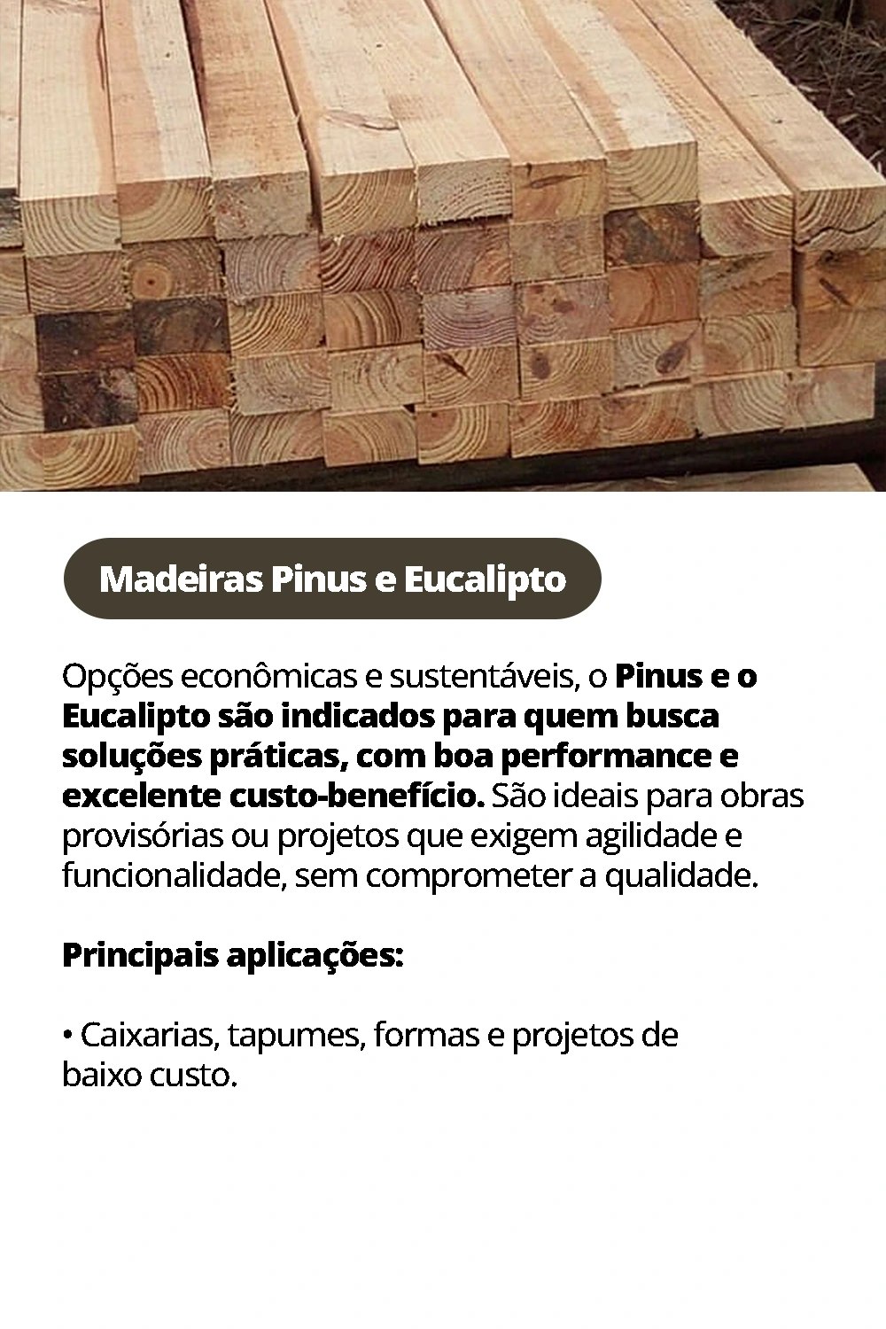 Pinus-e-eucalipto.webp